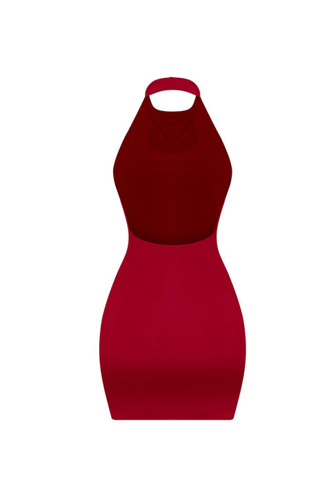 Tresser™ Sleeveless Halter Open Back Mini Bodycon Dress
